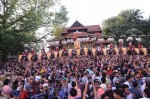 thrissur-pooram